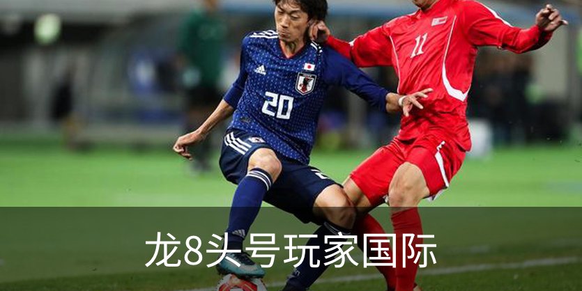 了解龙8头号玩家国际
